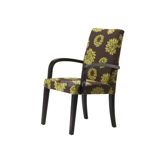 Serilda Arm Chair